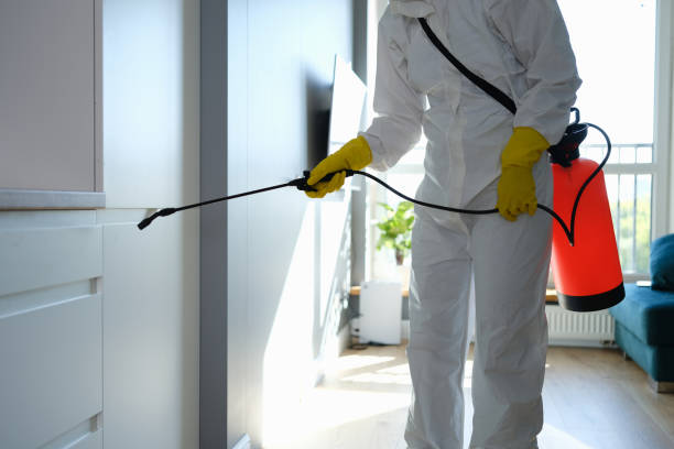 Best Water Damage Restoration  in Old Forge, PA