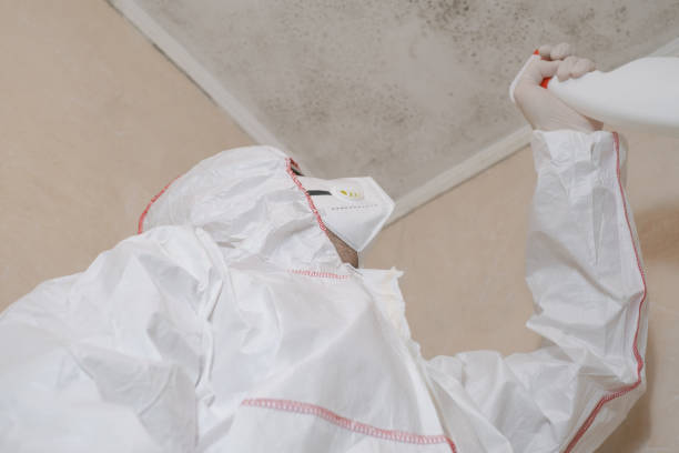 Old Forge, PA Mold Removal Company